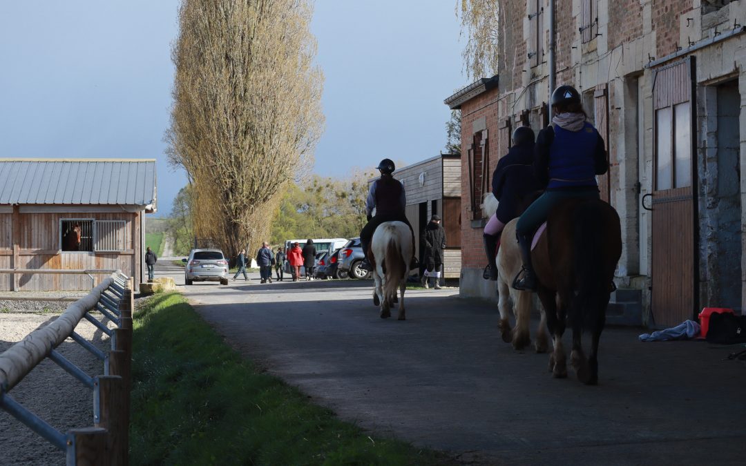Nos formations équestres en apprentissage à l&rsquo;EPL de Rethel.