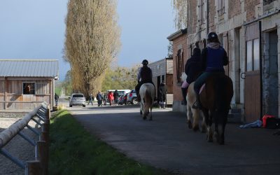 Nos formations équestres en apprentissage à l&rsquo;EPL de Rethel.