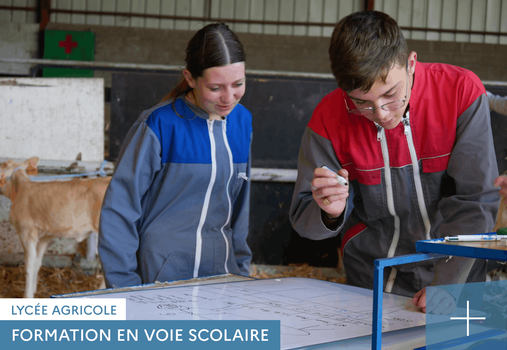 QUATRIEME ET TROISIEME AU LYCÉE AGRICOLE DE RETHEL