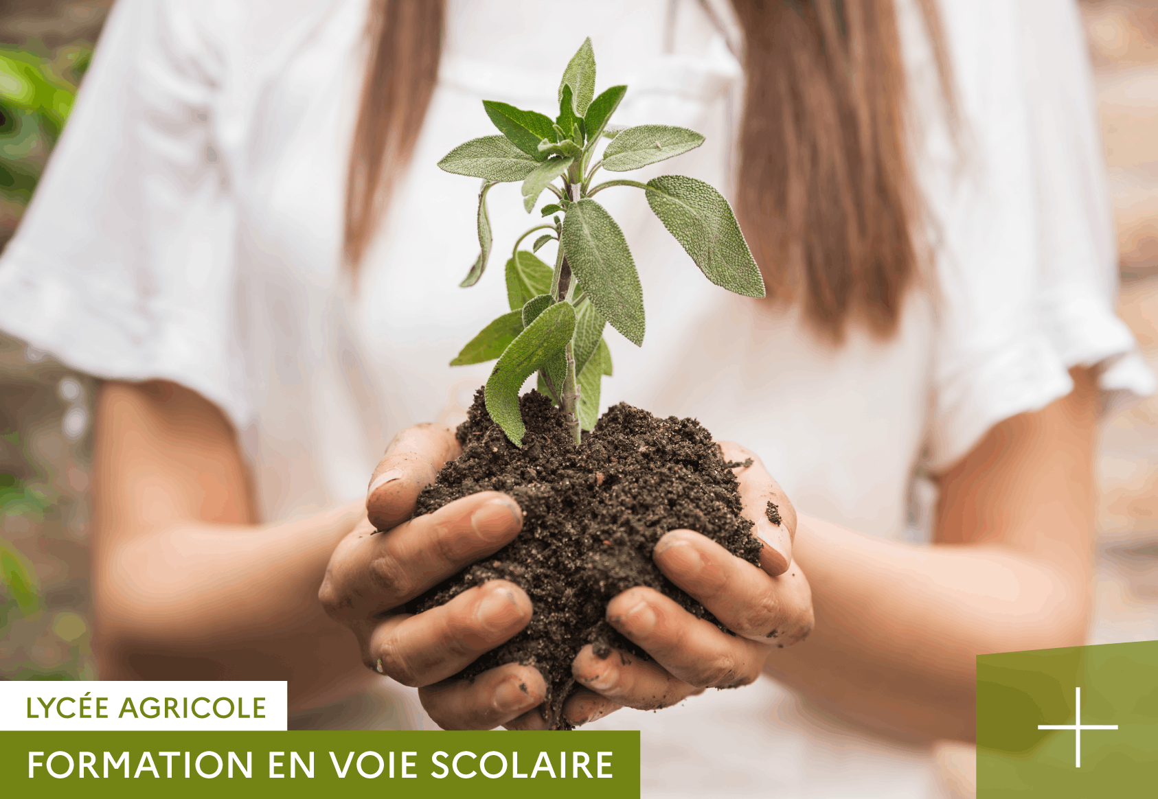 BAC STAV PRODUCTIONS AU LYCÉE AGRICOLE DE RETHEL