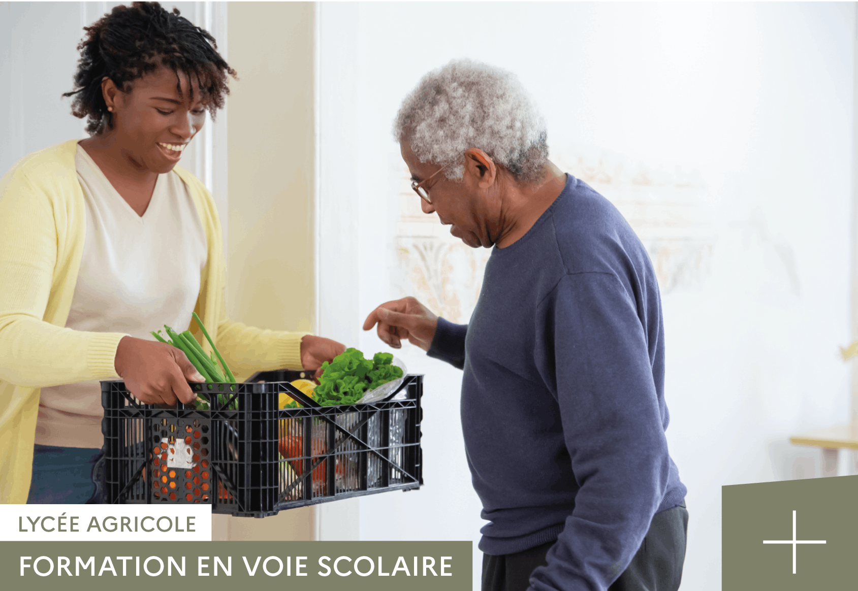 BAC STAV SERVICES LYCÉE AGRICOLE DE RETHEL