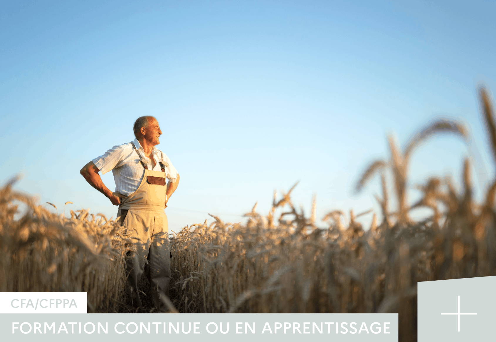 BPREA-CFA-CFPPA-DE-RETHEL