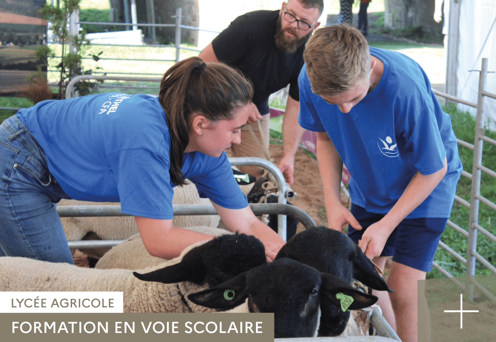 BAC PRO CGEA AU LYCÉE AGRICOLE DE RETHEL
