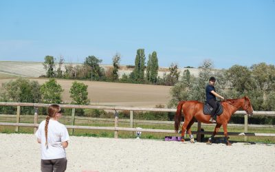 Nos animateurs d’équitation en séance pédagogique avec nos apprentis palefrenier soigneur.